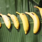 Banana Prata, Nanica, Maçã e Terra: Qual é a Melhor para o Seu Negócio?