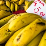 Guia dos Tipos de Banana: Como Escolher a Variedade Certa para Vender Mais